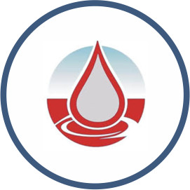 BRICOSAN
